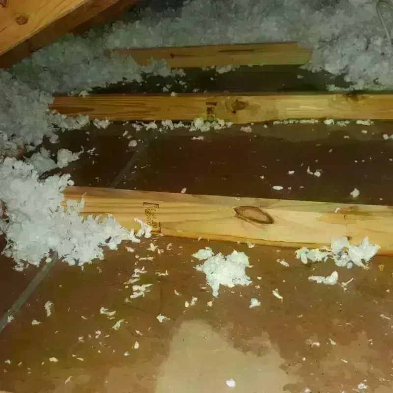 Attic Water Damage in Thorntown, IN